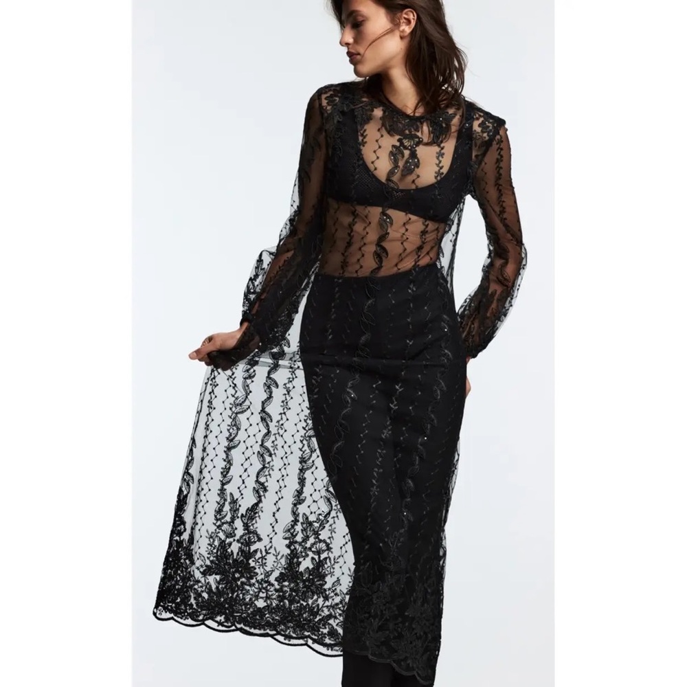 ZARA lace embroidered mesh maxi dress, size xs, nwt